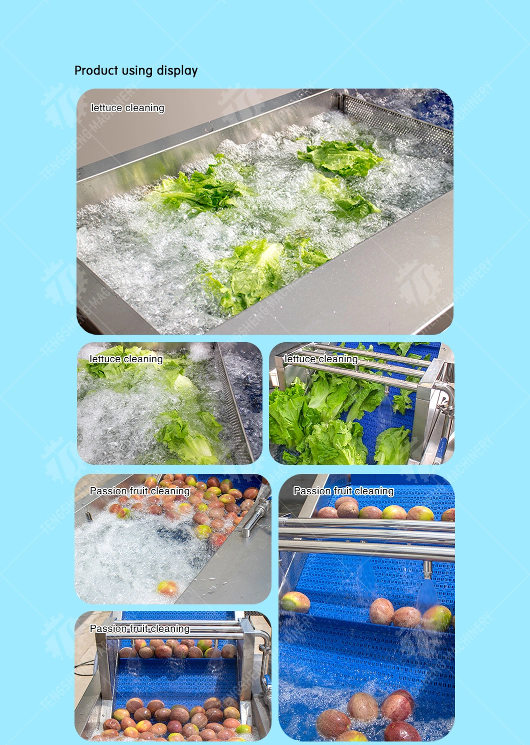 Industrial Automatic Food Processor Fruit Vegetable Ozone Bubble Washer Ultrasonic Ginger Cassava Washing Machine Ts-X300