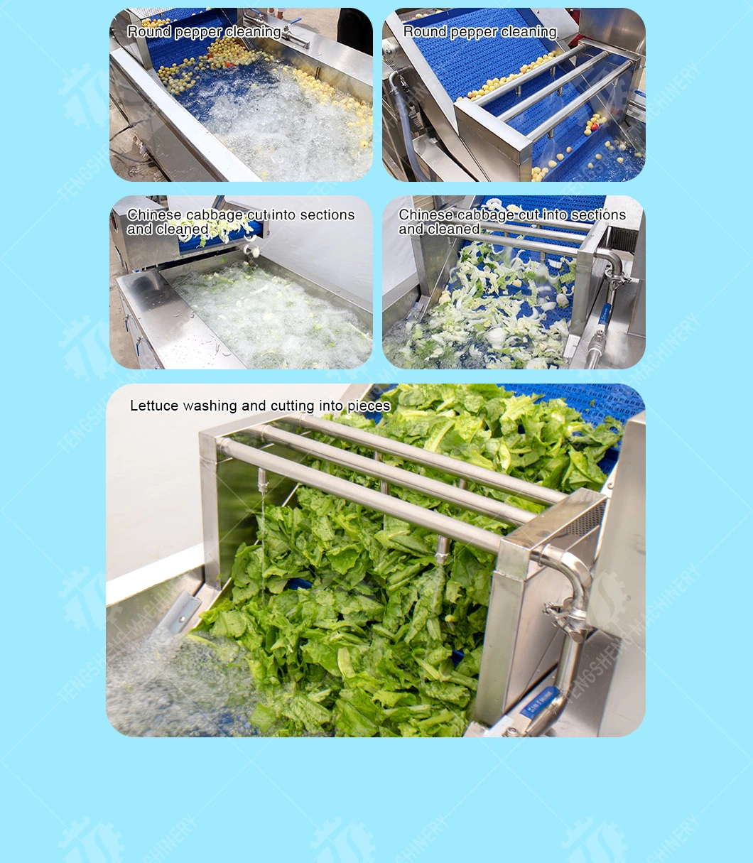 Industrial Automatic Food Processor Fruit Vegetable Ozone Bubble Washer Ultrasonic Ginger Cassava Washing Machine Ts-X300