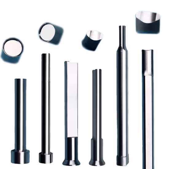 High Precision Punch for Sale