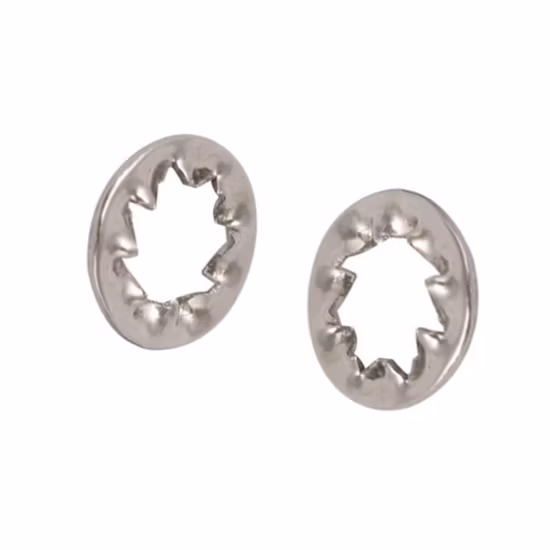 China Factory Custom 4mm Inner Dia 304 Stainless Steel Internal Serrated Lock Washer