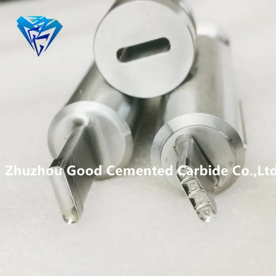 Zp Dies Customize Punch Die Rotary Punch Factory Good Price